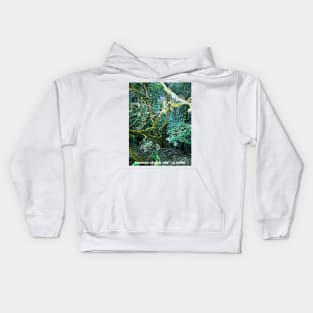 Garayonay National Park La gomera island Kids Hoodie